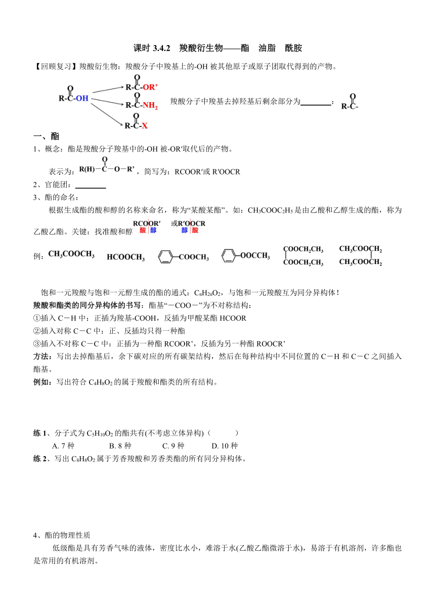 3.4.2 羧酸衍生物 导学案（无答案）  高二化学人教版（2019）选择性必修3