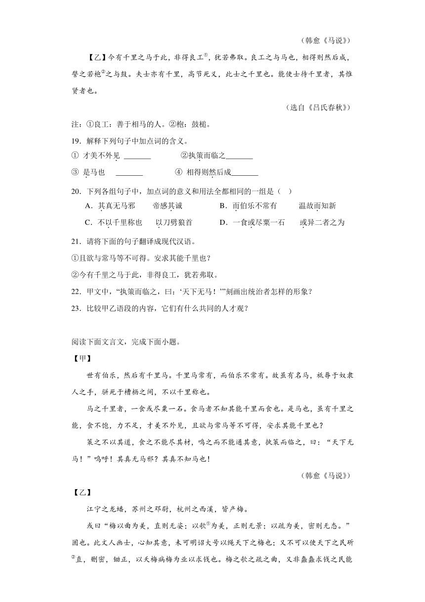 2024年九年级中考语文专题复习：《马说》对比阅读（含答案）