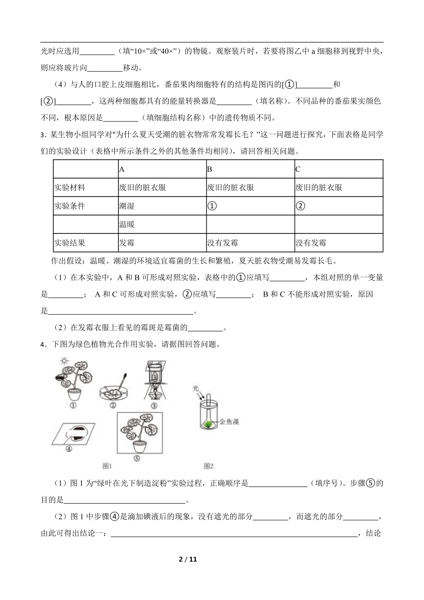 2024年中考生物专题复习 ：实验探究题（含答案）