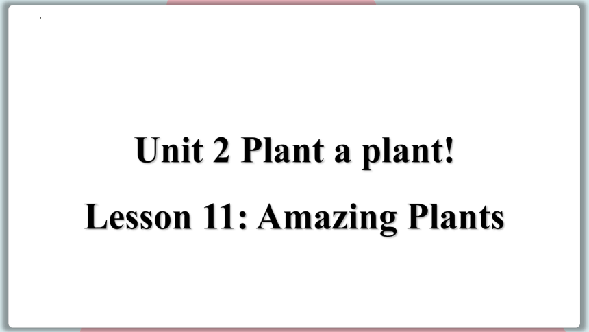 Unit 2  Lesson 11 Amazing Plants课件(共32张PPT)冀教版八年级下册