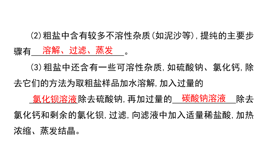 2024年中考化学总复习考点探究 课件 第十一单元 盐 化肥 第2课时(共34张PPT)