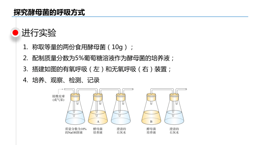 5.3 细胞呼吸的原理和应用课件(共40张PPT)-2023-2024学年高一上学期生物人教版必修一