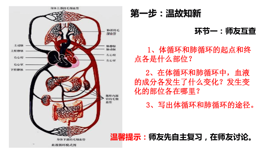 4.4.4输血与血型课件 (共18张PPT)人教版生物七年级下册