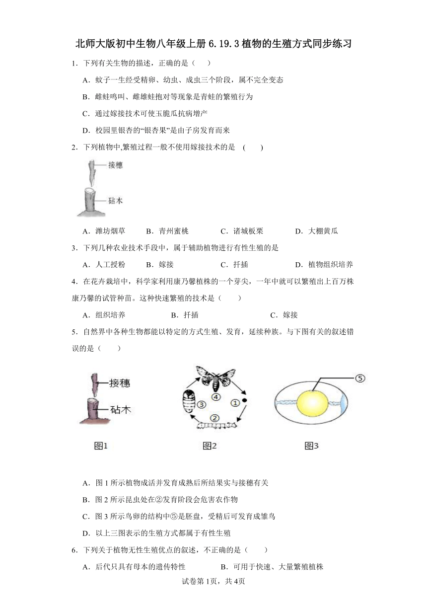 北师大版初中生物八年级上册6.19.3植物的生殖方式同步练习（含答案）