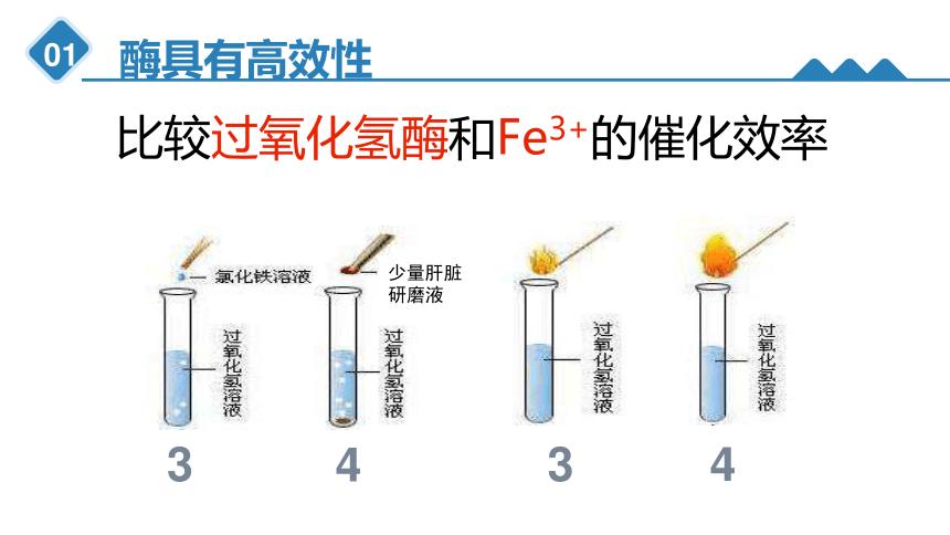 5.1.2酶的特性课件(共18张PPT1份视频)-人教版必修1 (1)