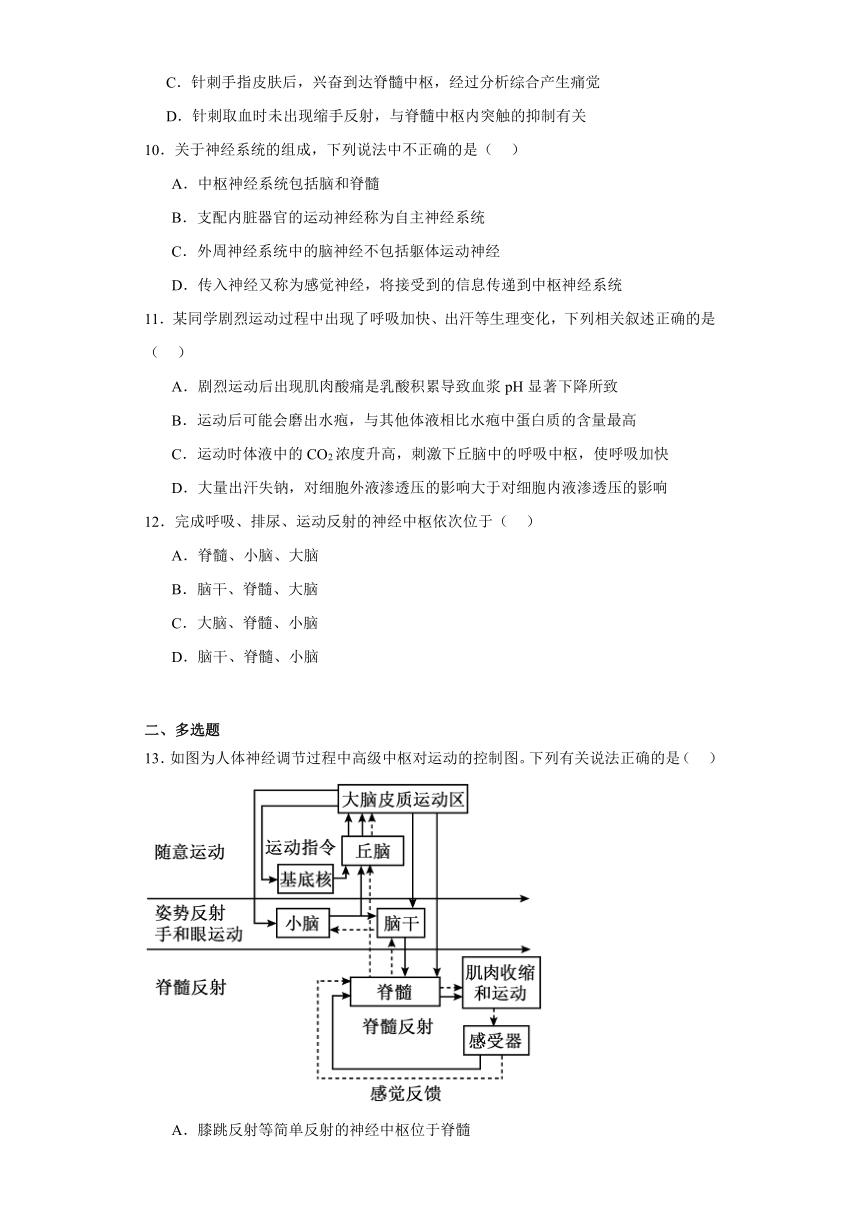 2.4神经系统的分级调节-【同步练】2023-2024学年高二生物（人教版2019选择性必修1）（含解析）
