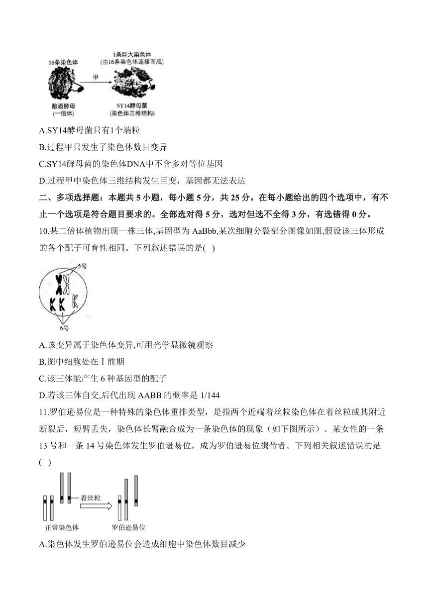 第三章 生物的变异—2023-2024学年高一生物学苏教版（2019）必修二单元检测卷（A卷）（含解析）