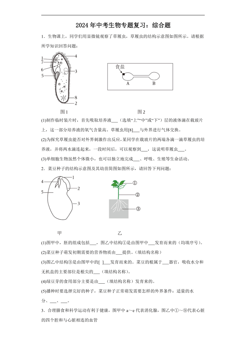 2024年中考生物专题复习：综合题（含答案）