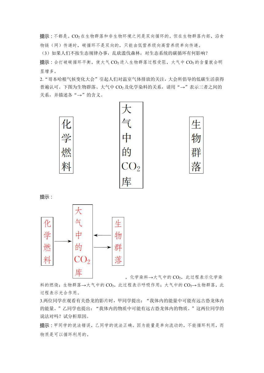 2023-2024学年浙科版选择性必修2 第三章第四节　生态系统中的物质能被循环利用 学案（含解析）