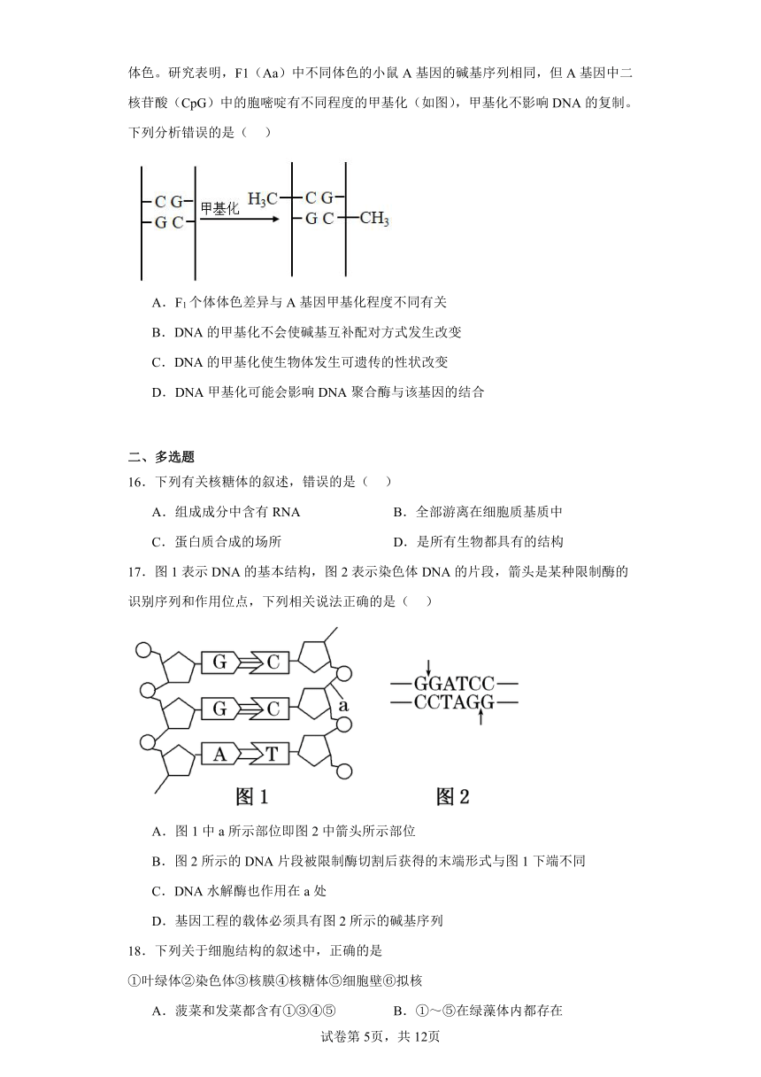 2024届辽宁省实验中学高三二模生物试题（解析版）