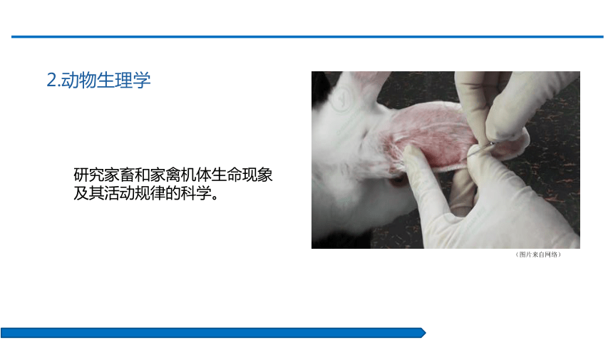 项目一    绪论 课件(共27张PPT)-《动物解剖生理》同步教学（中国农业出版社）