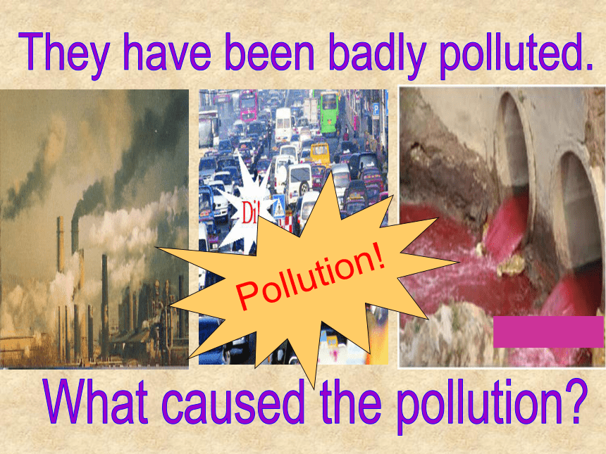 Unit 2 Saving the earth.Topic 1  Pollution has causes too many problems Section B 课件(共24张PPT)