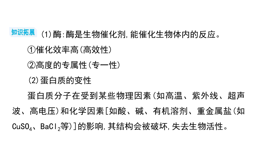 2024年中考化学总复习考点探究 课件 第十二单元 化学与生活(共53张PPT)