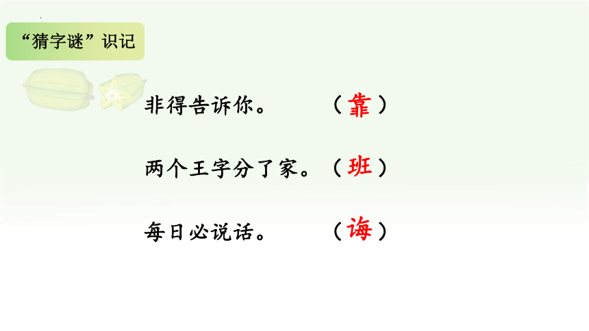 13 画杨桃 课件(共41张PPT)