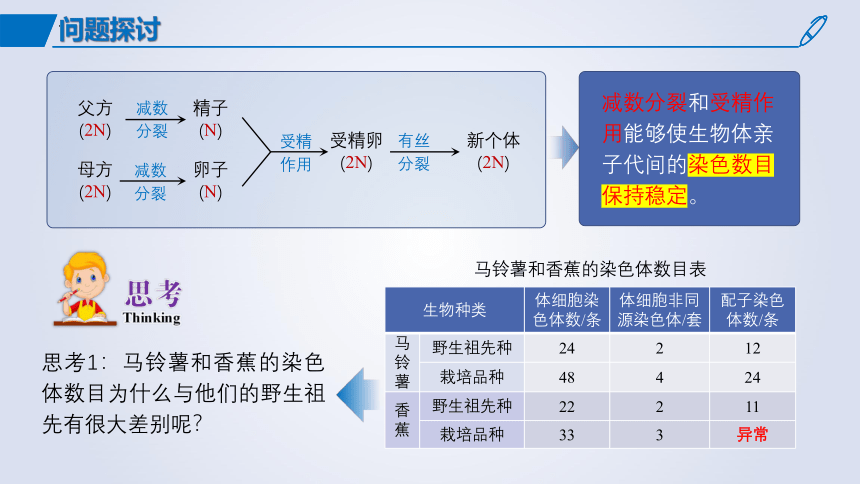 5.2染色体变异课件 (共54张PPT1份视频)生物人教版必修2