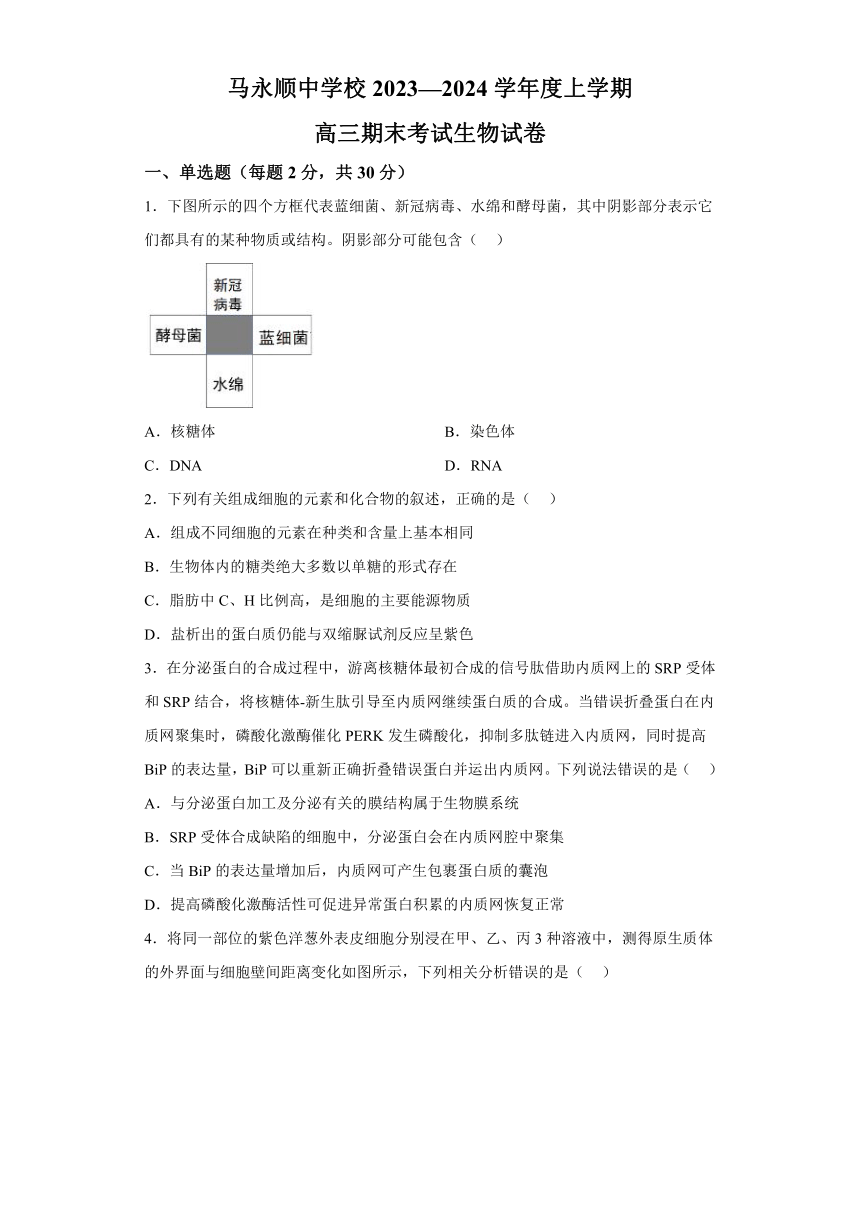 黑龙江省伊春市铁力市林业局马永顺中学2023-2024学年高三上学期期末生物试题（含解析）