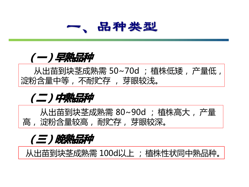 12.1 马铃薯 课件(共41张PPT)- 《蔬菜生产技术(南方本)》同步教学（中国农业大学出版社）