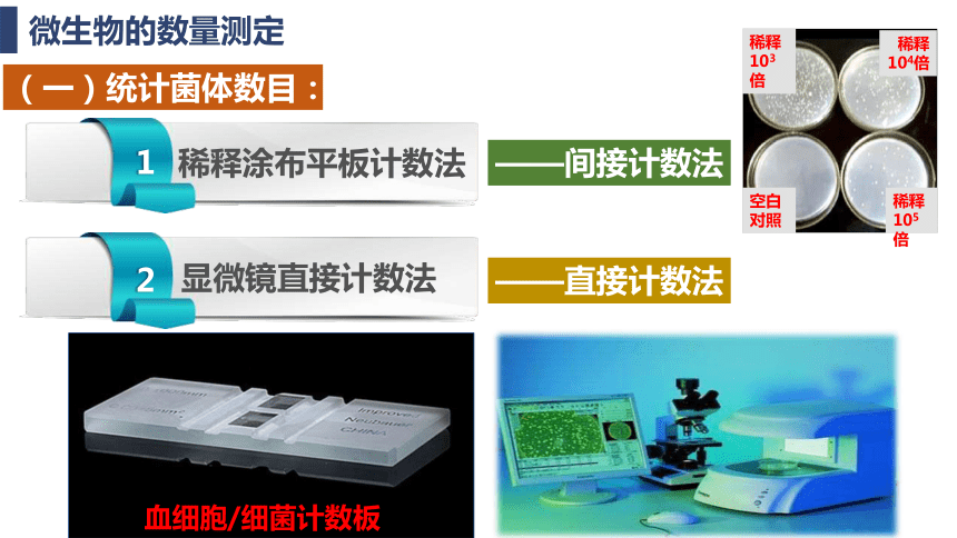 1.2.2微生物的选择培养和计数课件（共28张PPT）-人教版选择性必修3