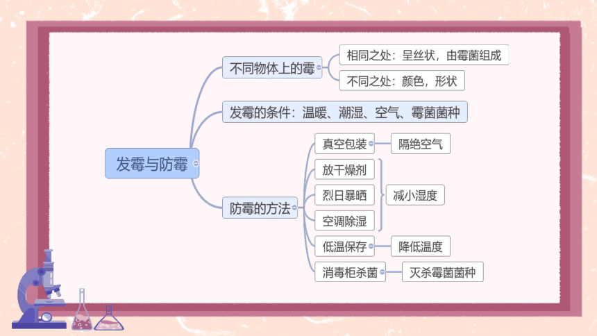 第一单元单元显微镜下的生命世界综合与测试  习题课件(共20张PPT)