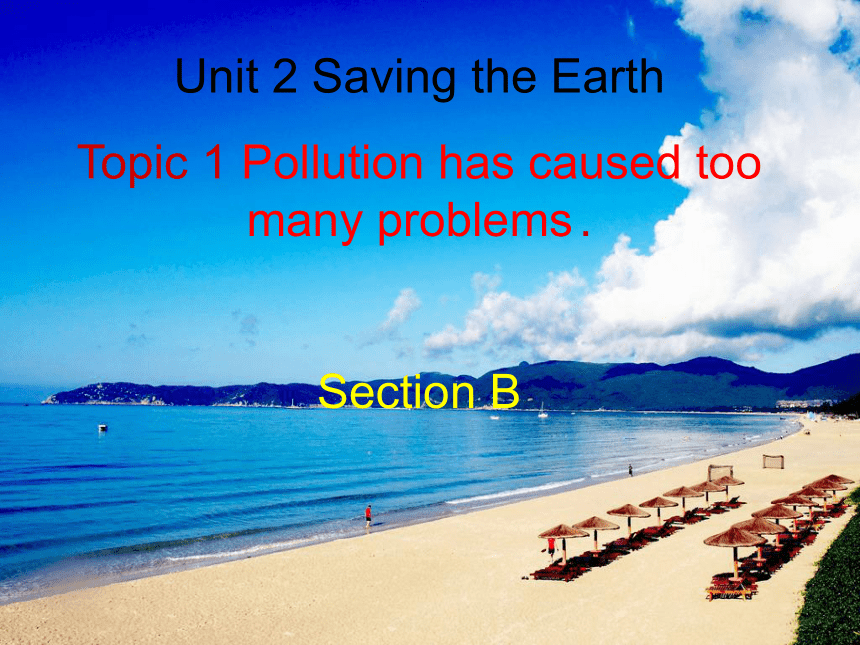 Unit 2 Saving the earth.Topic 1  Pollution has causes too many problems Section B 课件(共24张PPT)