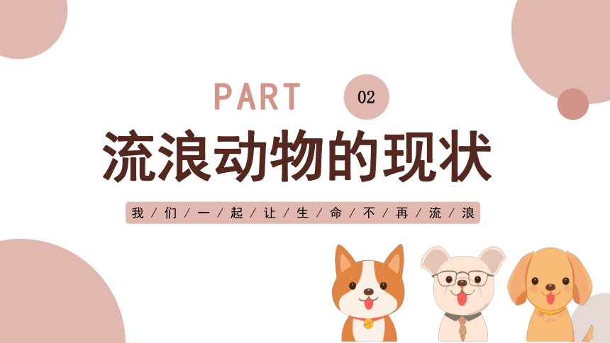 【关爱流浪动物】让生命不再流浪-高中主题班会课件