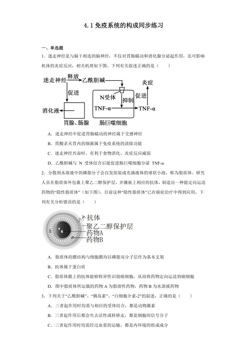 4.1免疫系统的构成同步练习（含解析）2023-2024学年高二上学期生物北师大版选择性必修1