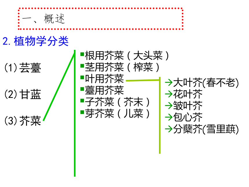 项目5.1 白菜类蔬菜生产--概述 课件(共53张PPT)- 《蔬菜生产技术》同步教学（机械工业版）