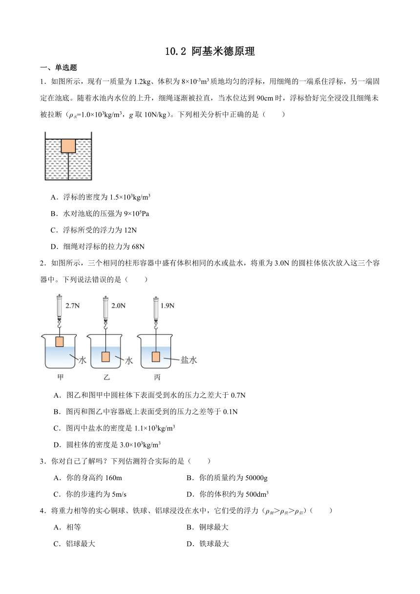 10.2 阿基米德原理 同步练习 （含解析）2023-2024学年人教版物理八年级下册