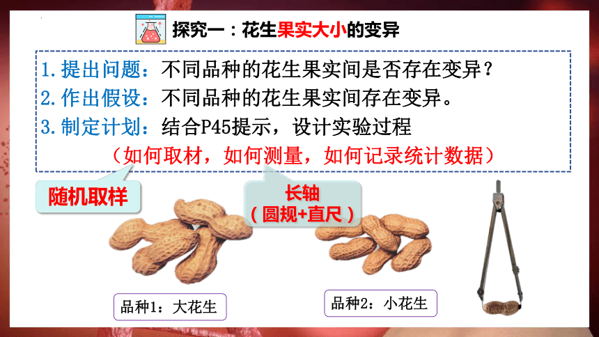 7.2.5生物的变异课件(共29张PPT+内嵌视频1个) 人教版生物八年级下册