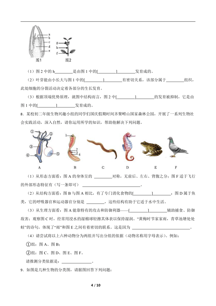 2024年中考生物专题复习 ：读图理解题）含答案