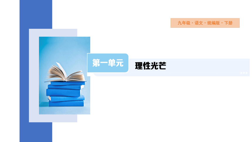 2023-2024学年初中语文部编版九年级下册01 祖国啊,我亲爱的祖国 课件(共51张PPT)