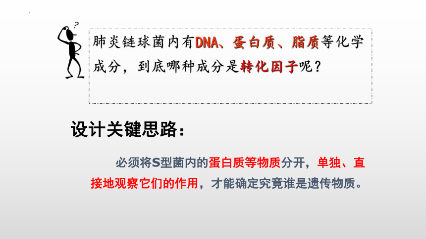 3.1DNA是主要的遗传物质课件（共30张PPT）-人教版必修2