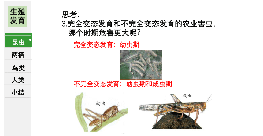 7.1生物的生殖和发育复习课件 (共36张PPT)人教版生物八年级下册