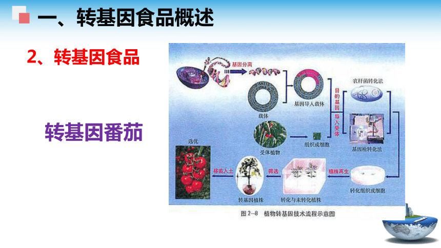 3.3转基因食品的安全性 课件(共48张PPT)- 《食品安全与控制第五版》同步教学（大连理工版）