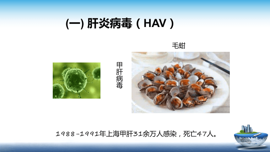 1.3.3  病毒对食品安全的影响、1.3.4 寄生虫和昆虫 课件(共35张PPT)- 《食品安全与控制第五版》同步教学（大连理工版）
