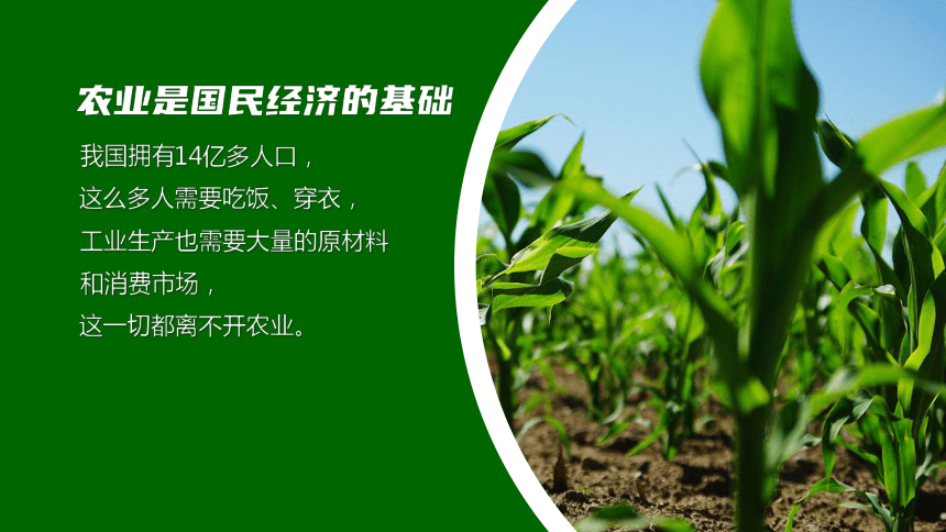 人教版地理 八年级上册第四章第二节 中国的农业  课件(32张PPT)
