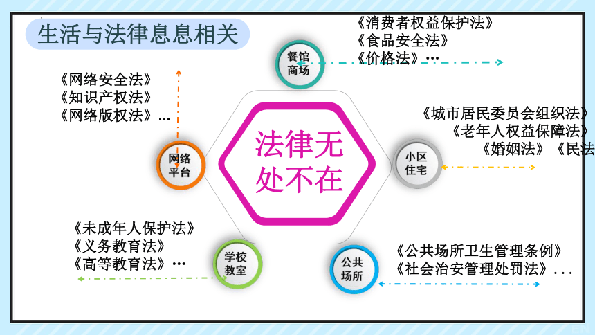 9.1 生活需要法律 课件(共21张PPT)+内嵌视频-2023-2024学年统编版道德与法治七年级下册