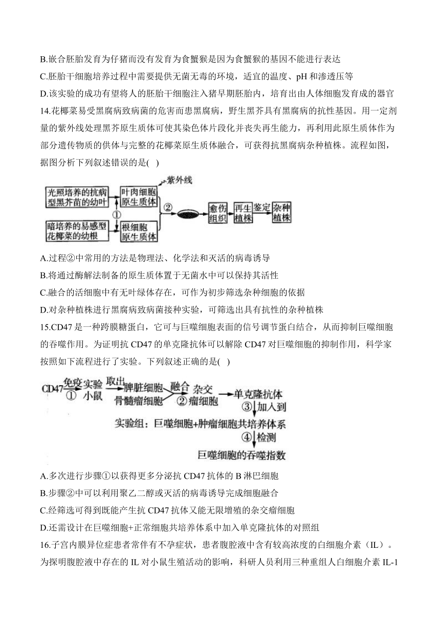 第二章 细胞工程—2023-2024学年高二生物学苏教版（2019）选择性必修三单元检测卷（B卷）（含解析）