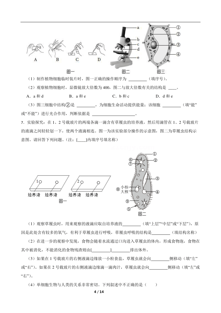 2024年中考生物专题复习：实验探究题（含答案）