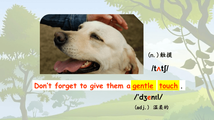 Unit 8 Pets Reading1课件（牛津译林版七年级下册）