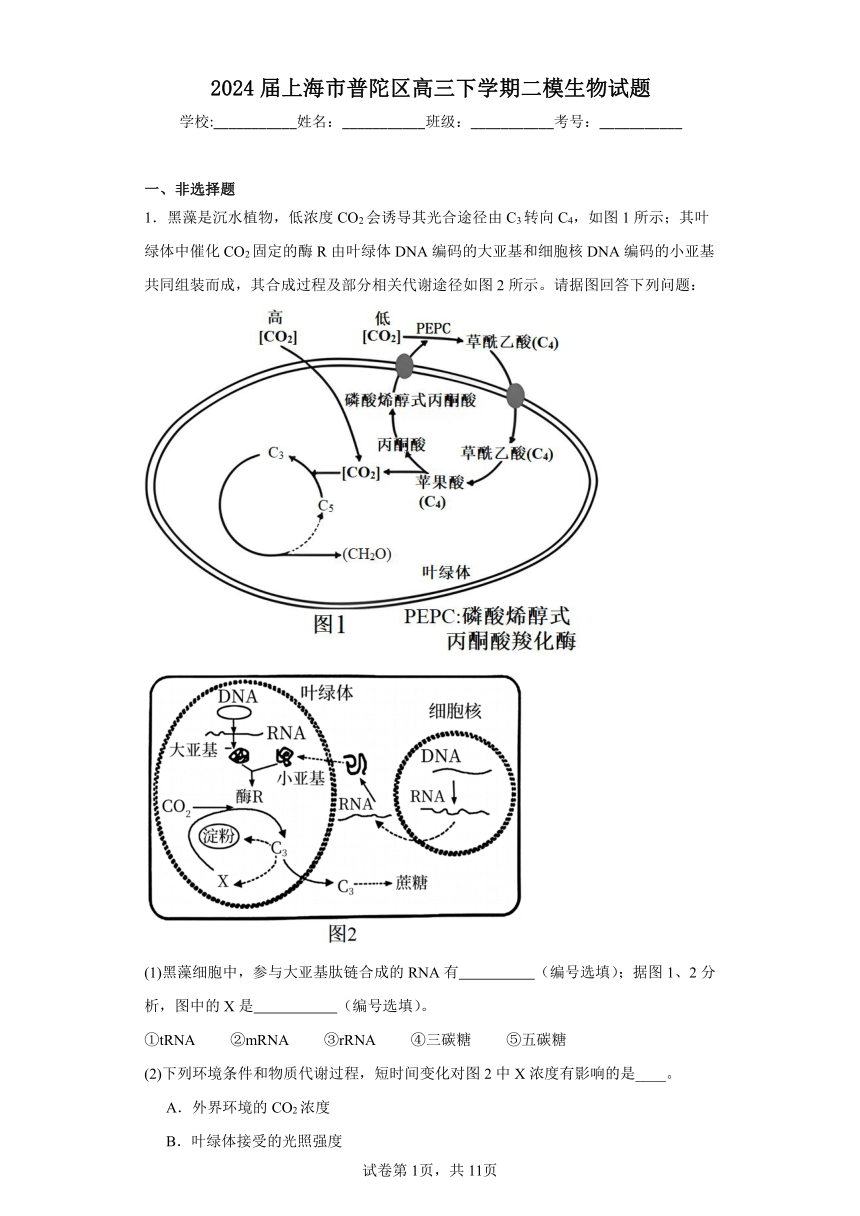 2024届上海市普陀区高三下学期二模生物试题（含解析）