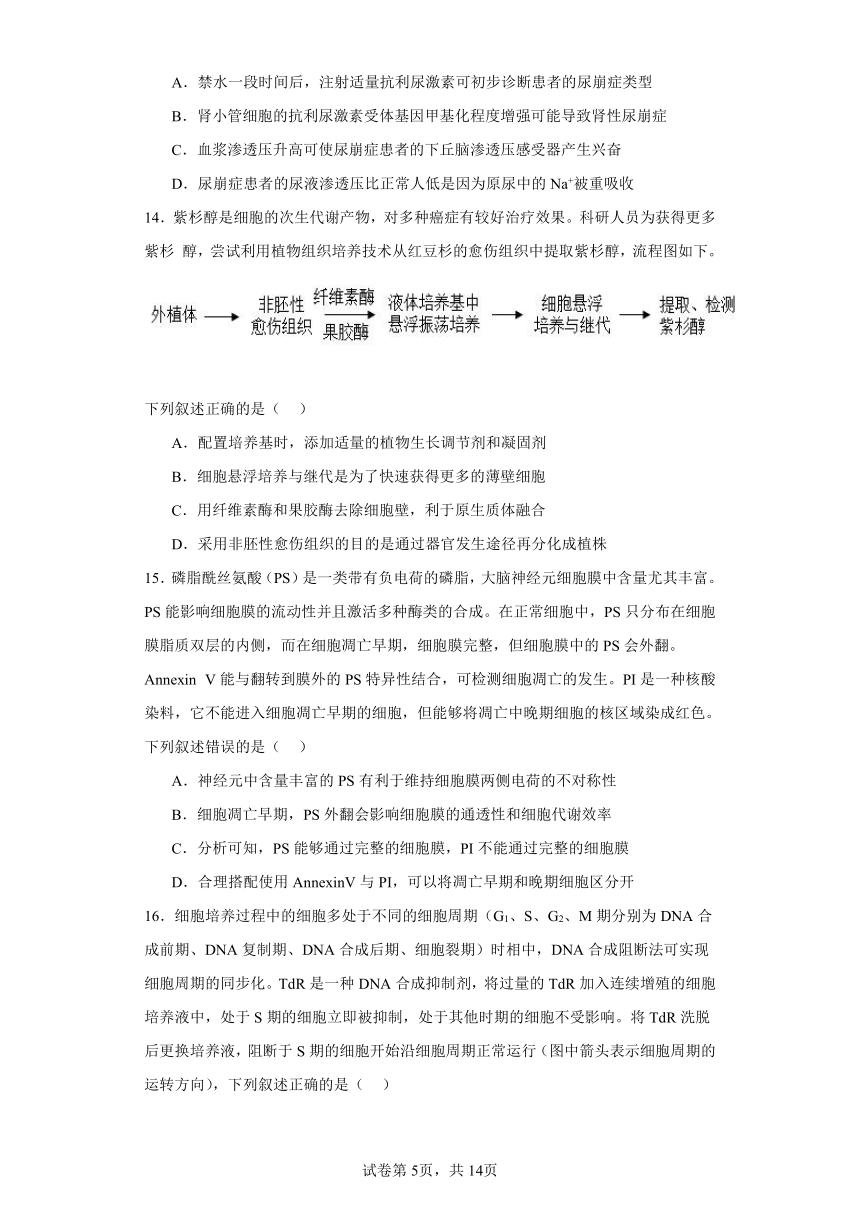 浙江省五校联盟2023-2024学年下学期高三3月联考生物模拟试题（含解析）