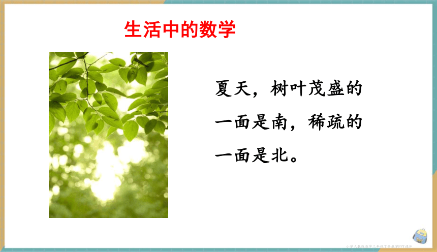 人教数学3下1.1 认识东、南、西、北四个方向 课件（共17张PPT）