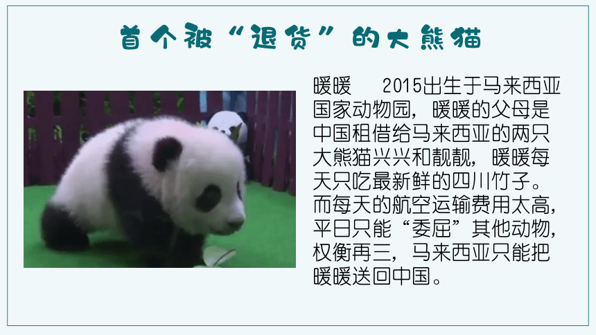 2021--2022学年人教版生物七年级上册1.2.1生物与环境的关系 课件（37张PPT）