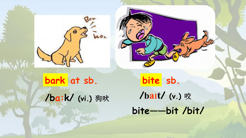 Unit 8 Pets Reading1课件（牛津译林版七年级下册）