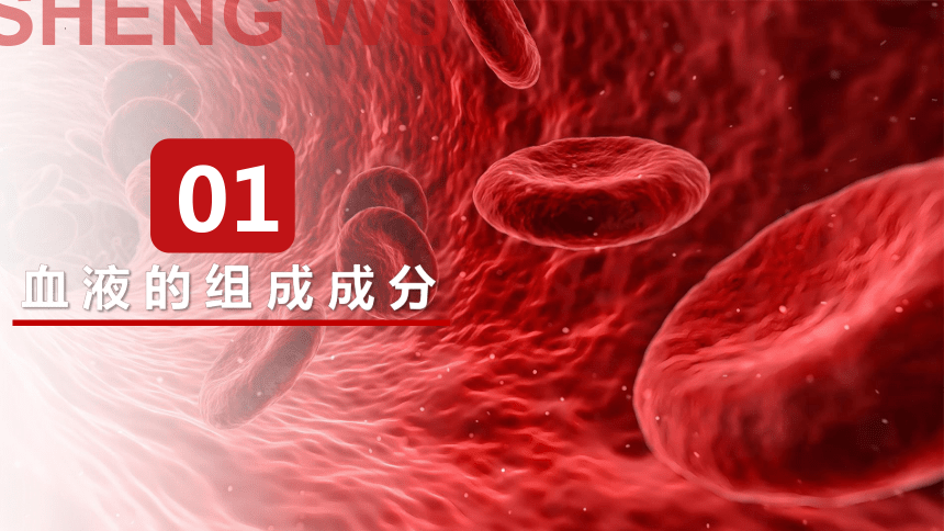 4.4.1 流动的组织——血液-2023-2024学年七年级生物下册同步精品课件（人教版）(共36张PPT)
