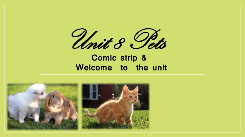 Unit 8 Pets Comic strip&Welcome  to  the unit课件（牛津译林版七年级下册）