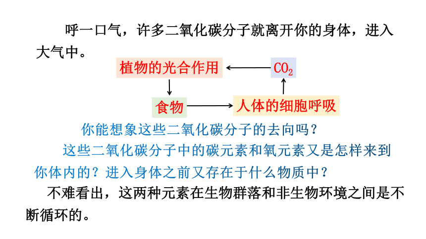 3.3生态系统的物质循环(共27张PPT)课件-人教版2019选择性必修2