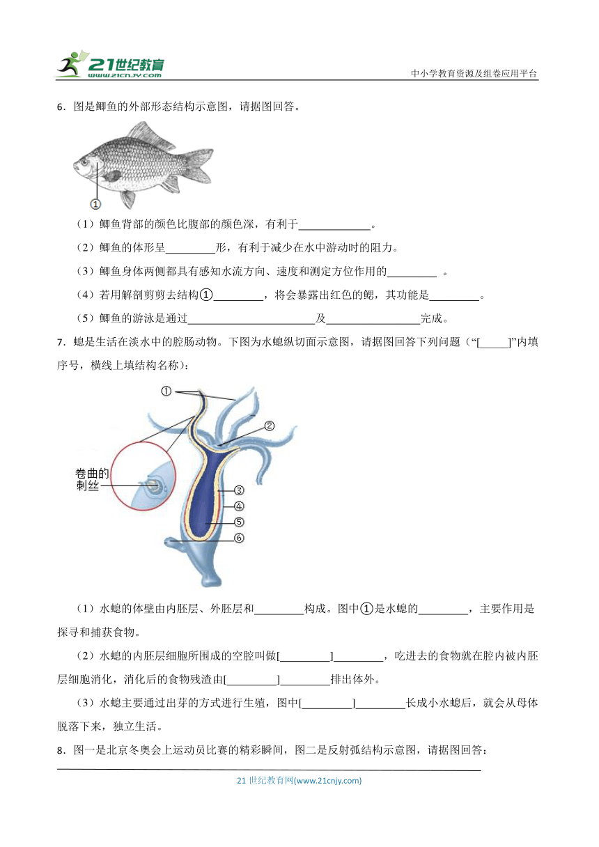 2024年中考生物读图理解专题复习：生物圈中的动物（含答案）