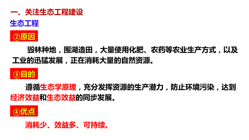 4.3生态工程课件-第一课时(共26张PPT)课件 人教版（2019）选择性必修2